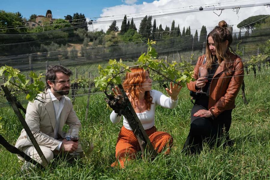 Siena: Educational Wine Tour & Tasting - From Siena to 2 km of countryside: arriving at Azienda Agricola La Lastra