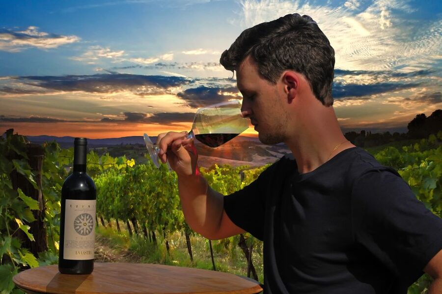 Siena: Educational Wine Tour & Tasting - Cellar education in the historical space: phenolics and microbes