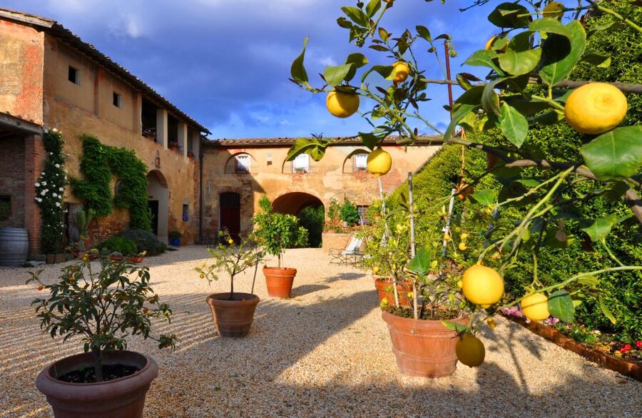 Siena: Educational Wine Tour & Tasting - Sensory tasting of 4 organic wines: how to read the glass