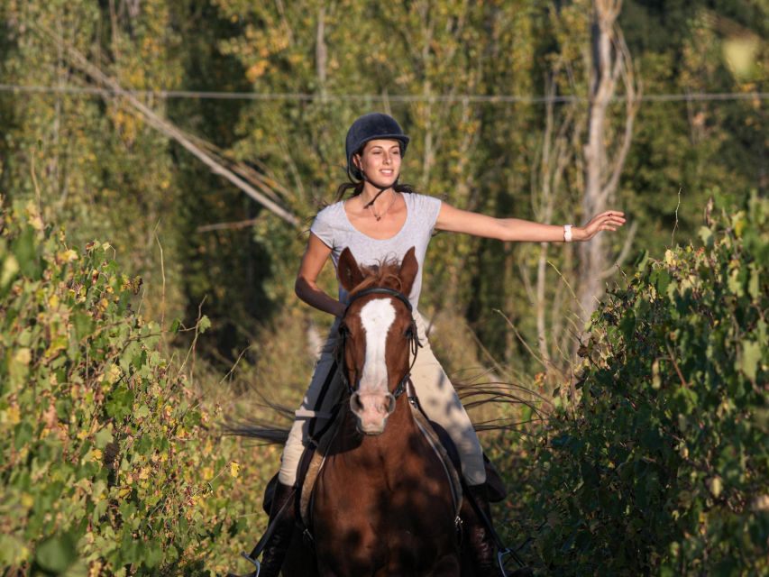 Siena: Horseback Adventure in the Tuscan Countryside - Key highlights