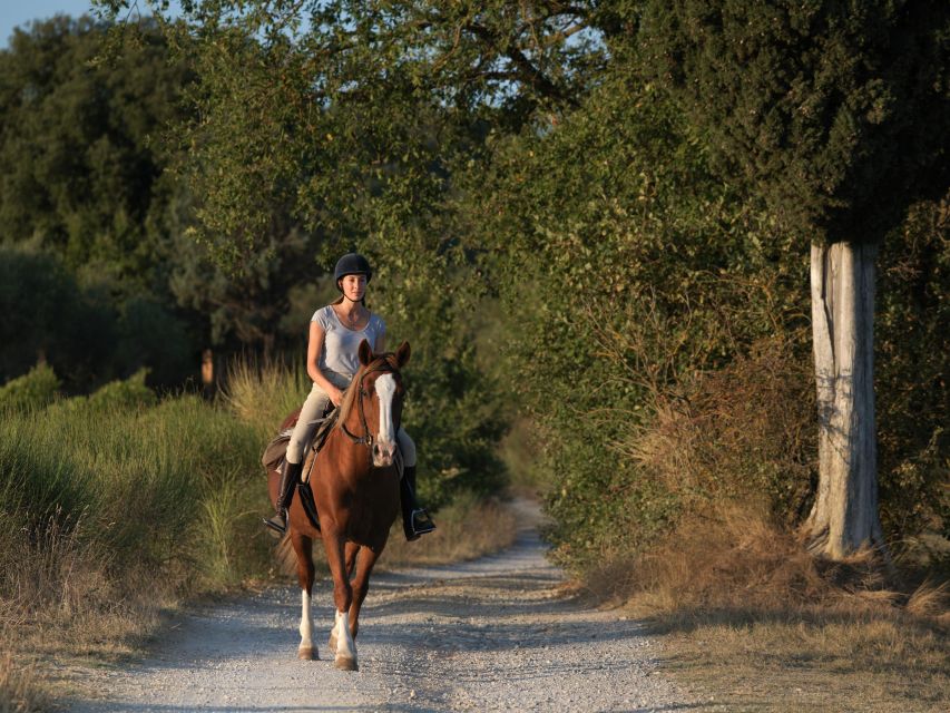 Siena: Horseback Adventure in the Tuscan Countryside - Who should book this Siena horseback adventure, and who should skip it