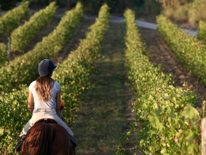 Siena: Horseback Adventure in the Tuscan Countryside - The 1-hour ride through Siena’s province: what you’ll see and how it feels