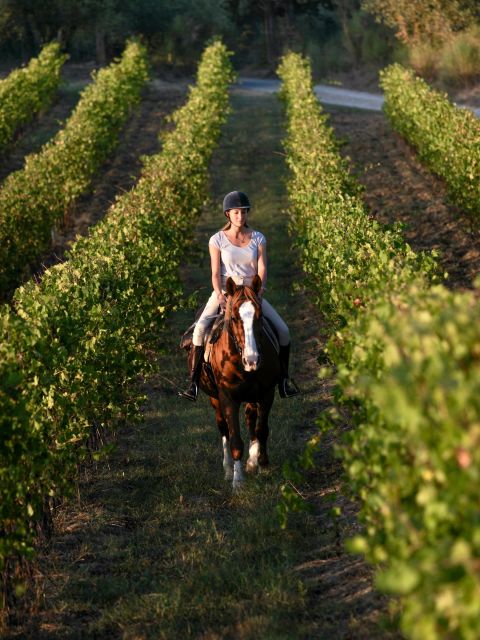 Siena: Horseback Adventure in the Tuscan Countryside - Flora, fauna, and local farm life: learning without turning it into a lecture