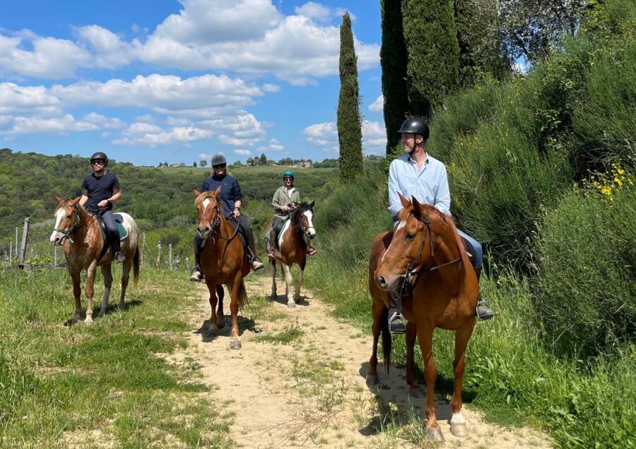 Siena: Horseback Adventure in the Tuscan Countryside - Safety and rider fit: who will feel comfortable here