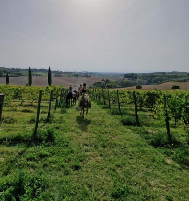 Siena: Horseback Riding Tour in the Tuscany Countryside - Tuscany From the Saddle: What You Actually Get in 1.5 Hours