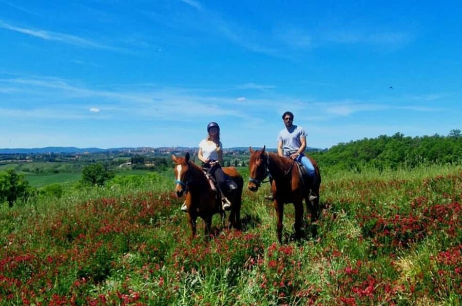 Siena: Horseback Riding Tour in the Tuscany Countryside - Beginner Training and Safety That Feels Real