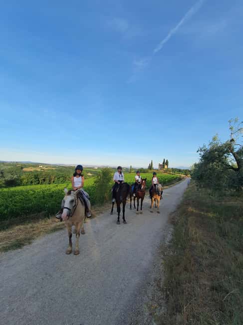 Siena: Horseback Riding Tour in the Tuscany Countryside - Who This Tour Fits Best (And Who Should Skip It)