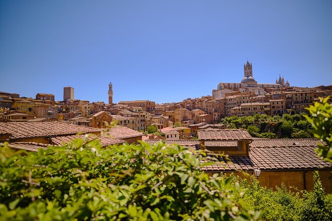 Siena, San Gimignano and Chianti Wines Day Tour from Florence - Siena: Piazza del Campo, Duomo Exterior, and How to Use Your Time Wisely