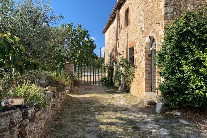 Siena: Small Group Cooking Class in Chianti Farmhouse - Price and Value: Is $130.28 Worth It?