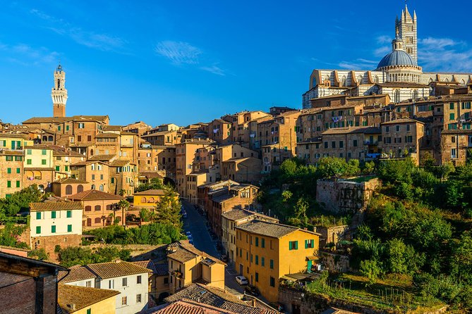 Skip the Line: Siena Duomo and City Walking Tour - Meeting in Piazza San Domenico and getting set for red-brick Siena