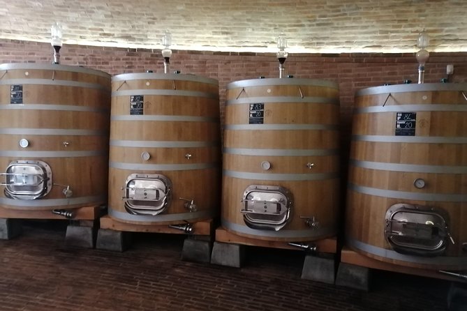 Small-Group Brunello di Montalcino Wine-Tasting Trip from Siena - Stop 1: Vineyard Walk, Cellars, and the First Round of Brunello