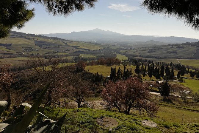 Small-Group Montepulciano and Pienza Day Trip from Siena - Price and What You Actually Get for $217.77