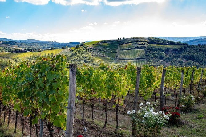 SMALL-GROUP Wine Safaris: Tuscan Wine Tasting Tours from Florence - Why a 4WD wine safari from Florence feels different than a bus day