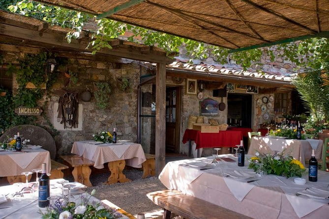 SMALL-GROUP Wine Safaris: Tuscan Wine Tasting Tours from Florence - How the tastings are structured, from underground cellars to final cheese pairings