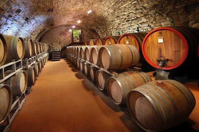 Small-Group Wine Tasting Experience in the Tuscan Countryside - Stop One: The Vineyard Tour and Barrel Room at a Chianti Estate
