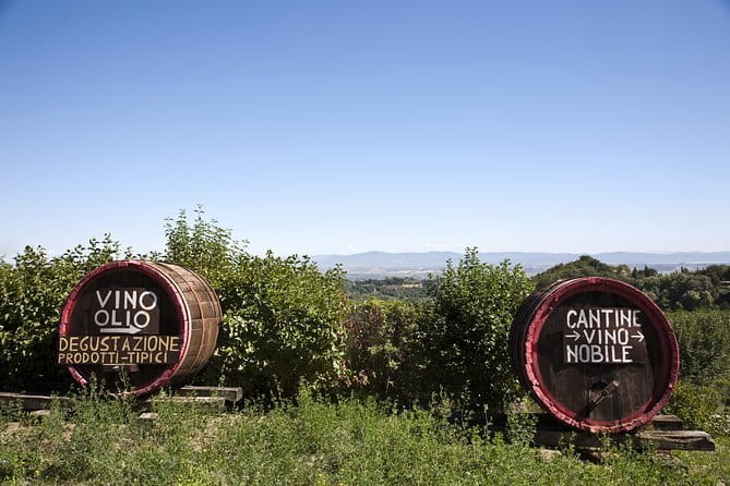 Super Chianti 2 wineries & meat feast @ Dario Cecchini—max 8 pp - Greve in Chianti: a short stroll to reset your senses