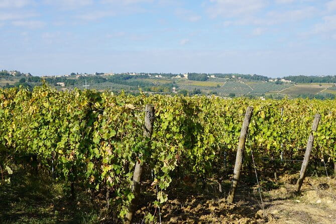 Super Chianti 2 wineries & meat feast @ Dario Cecchini—max 8 pp - Getting started at Grape Tours, and how the day flows