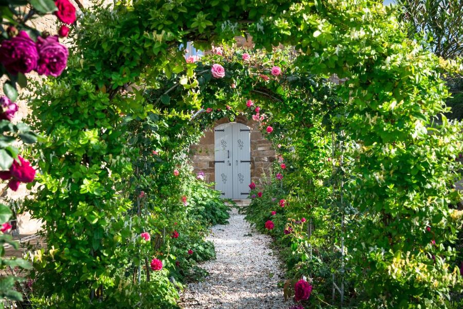 Total Immersion Wine Tour in Chianti - Quick Hit Key Points