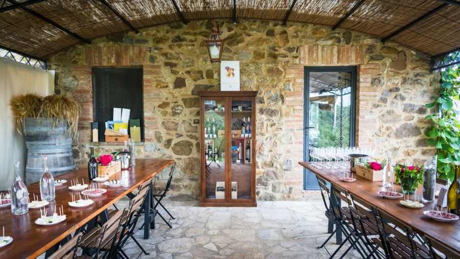 Total Immersion Wine Tour in Chianti - Logistics That Matter: Remote Roads, Timing, and Footwear