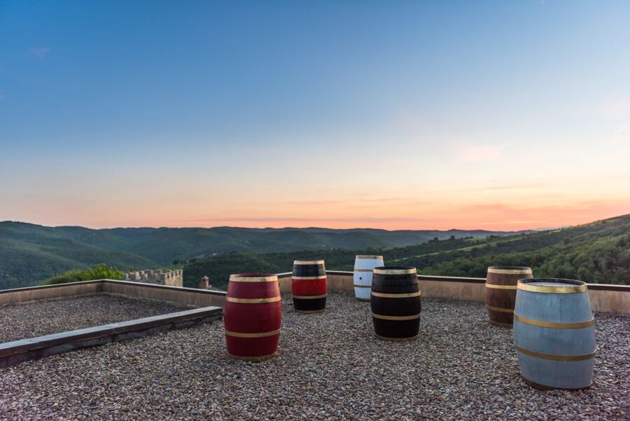 Total Immersion Wine Tour in Chianti - Who This Tour Is Best For (and Who Might Skip It)