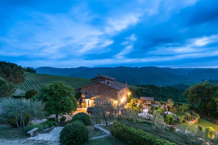 Total Immersion Wine Tour in Chianti - Vineyard Walk and Organic Farming, Explained in Plain Human Terms