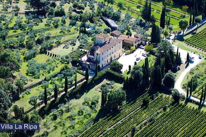 Tour through the vineyards and wine and olive oil tasting in Tuscany - Key things that make this Villa La Ripa tour worth your time
