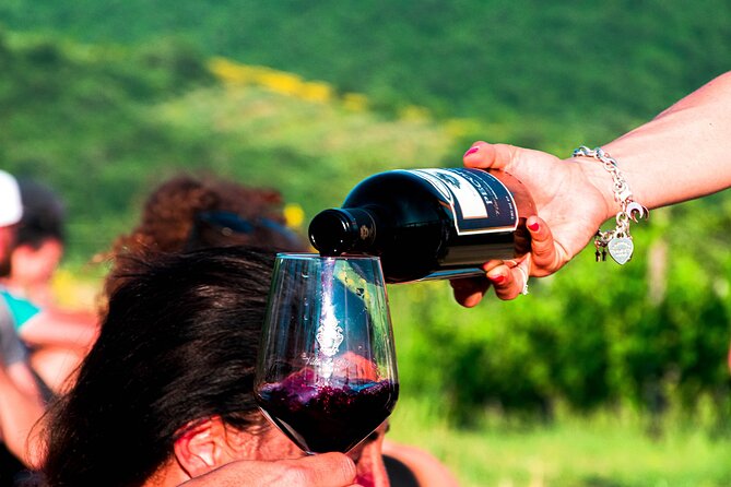Tour through the vineyards and wine and olive oil tasting in Tuscany - Villa La Ripa in Tuscany, in 90 minutes: the big idea