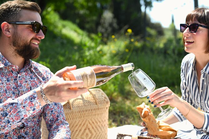 Tour through the vineyards and wine and olive oil tasting in Tuscany - Vineyard walk when weather allows: what to watch for