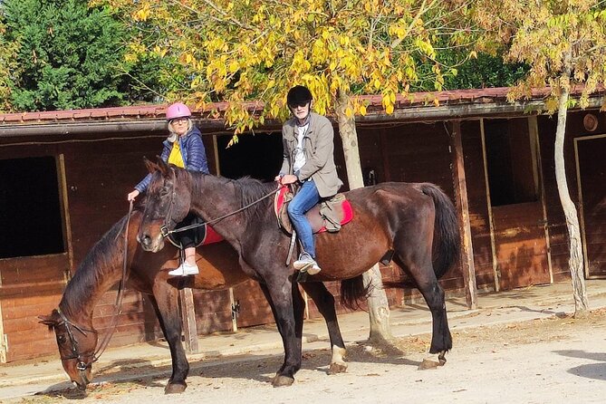 Tuscan Chianti Hills Horseback Riding Tour - Pace and Effort: What to Expect When You Ride