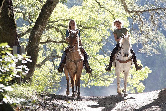 Tuscan Chianti Hills Horseback Riding Tour - Safety, Horse Care, and How to Reduce Risk