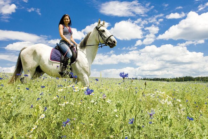 Tuscan Chianti Hills Horseback Riding Tour - Price Value: Is $90.11 a Fair Deal?