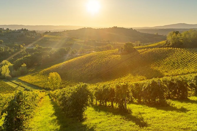 Tuscan Chianti Hills Horseback Riding Tour - Who This Tour Fits Best (And Who Should Skip It)