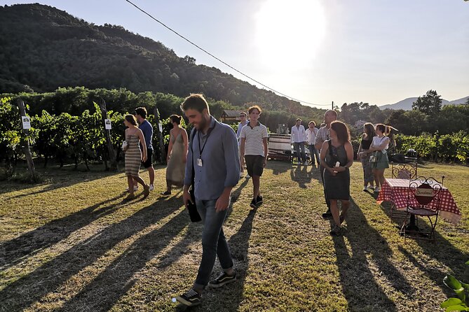 Tuscan Wine Tour in Lucca by van - Winery Stop 1 Near Lucca, Where the Process Gets Real