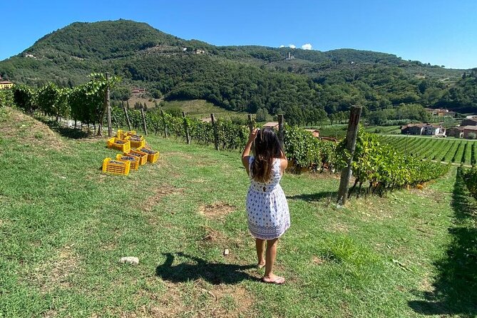Tuscan Wine Tour in Lucca by van - FAQ