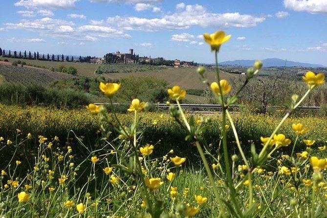 Tuscany Bike Tours Through the Chianti Hills with Wine Tasting - Practical tips to make your day smoother