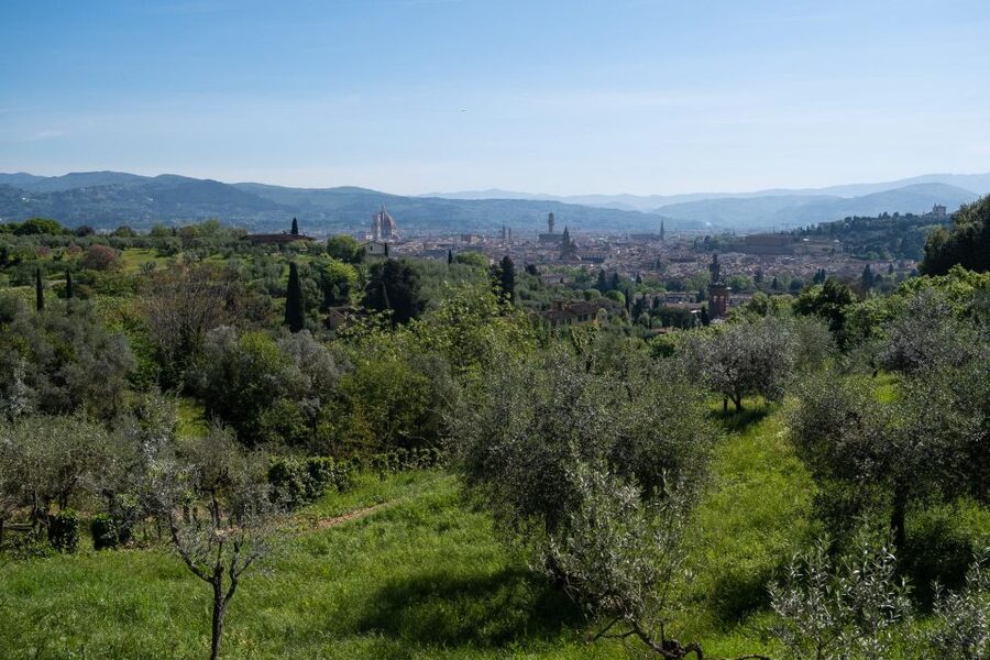 Tuscany Hills Bike Tour with Lunch at farm and Wine Tasting - Key points to know before you book