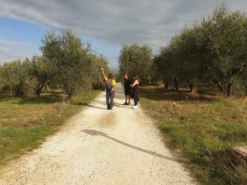 Tuscany Hills Bike Tour with Lunch at farm and Wine Tasting - Chianti hills by bike: what you will actually experience between stops