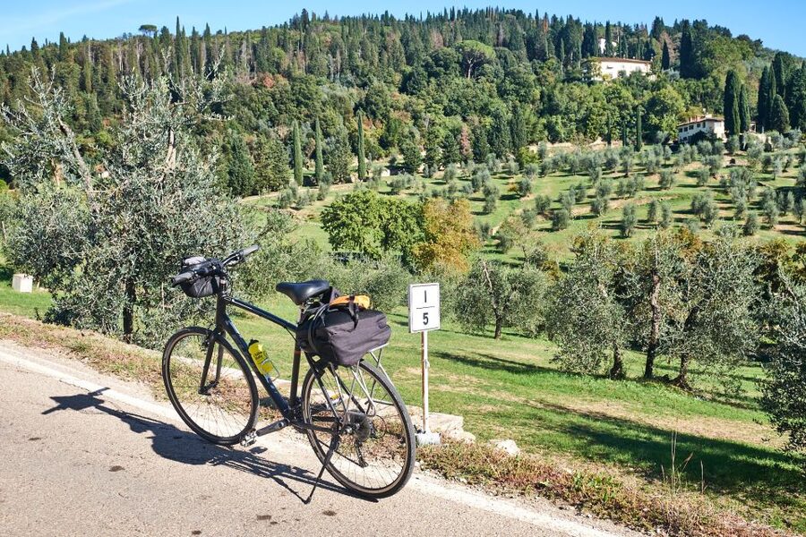 Tuscany Hills Bike Tour with Lunch at farm and Wine Tasting - Lunch at a family-run Chianti farm, plus how tastings are handled