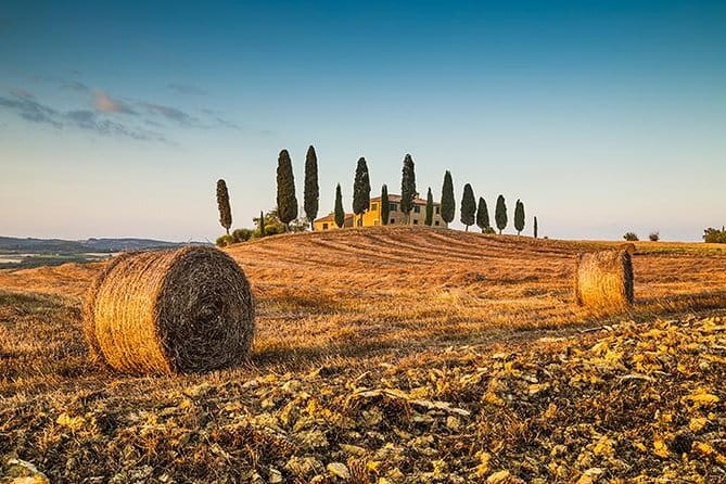 Walking Food Tour of Florence with Tastings and Wine - Guides Can Make or Break the Night, Guido, Lucia, and the Rest