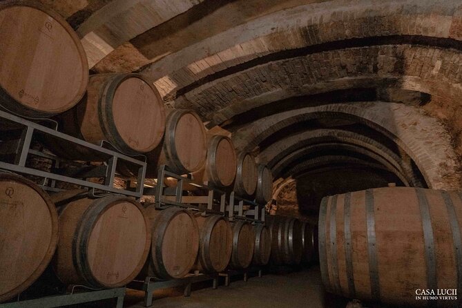 Wine and food tasting in an organic family winery - Tuscan food pairings: cold cuts, cheeses, garden plates, and olive oil