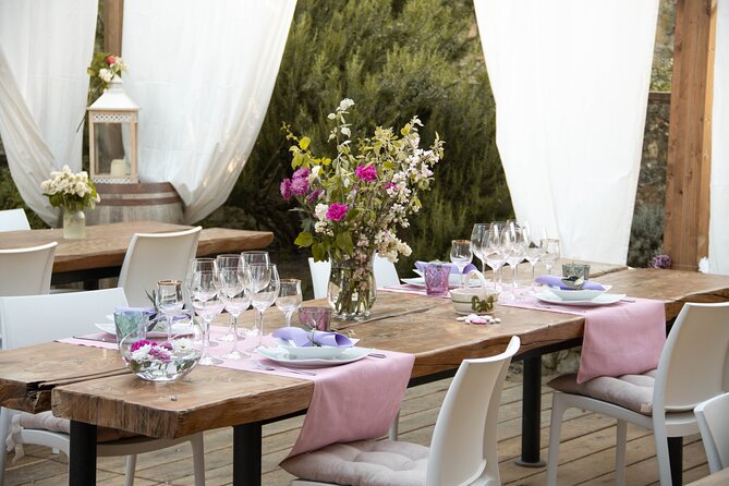 Wine and food tasting in an organic family winery - Price and logistics: what $108.89 buys you in real time