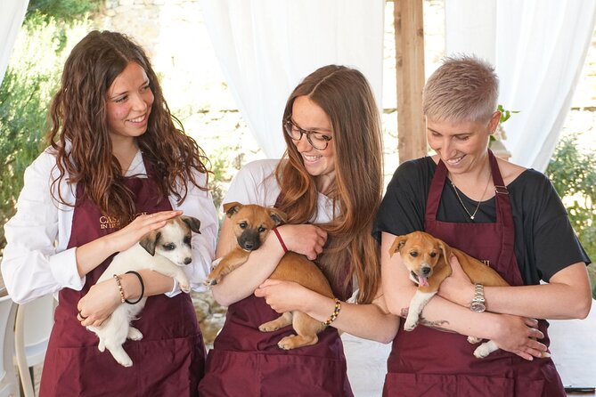 Wine and food tasting in an organic family winery - Walking the vines and farmside stops that make the wines click