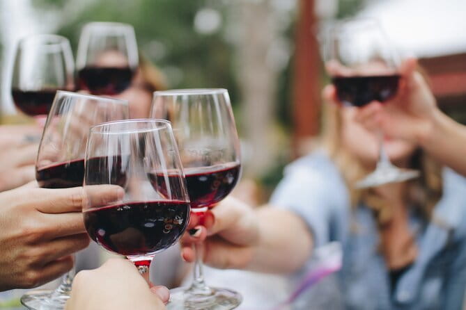Wine Experience In Chianti Hills from Florence - Key highlights to know before you go