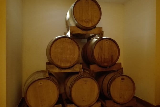 Wine Experience In Chianti Hills from Florence - What you’ll taste and eat: local bites that actually pair