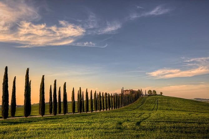 Wine Experience In Chianti Hills from Florence - Guides, group energy, and how to get the best version of the tour