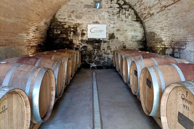 Wine Tasting Experience in Ponte Vecchio: Best Tuscany selection! - The single-glass, tutor-led format that helps you actually learn